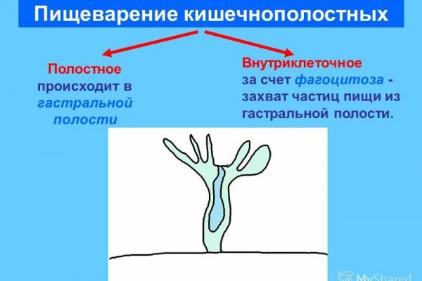 Кракен сайт вход официальный зеркало