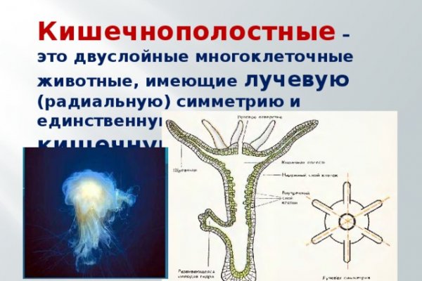 Кракена точка нет